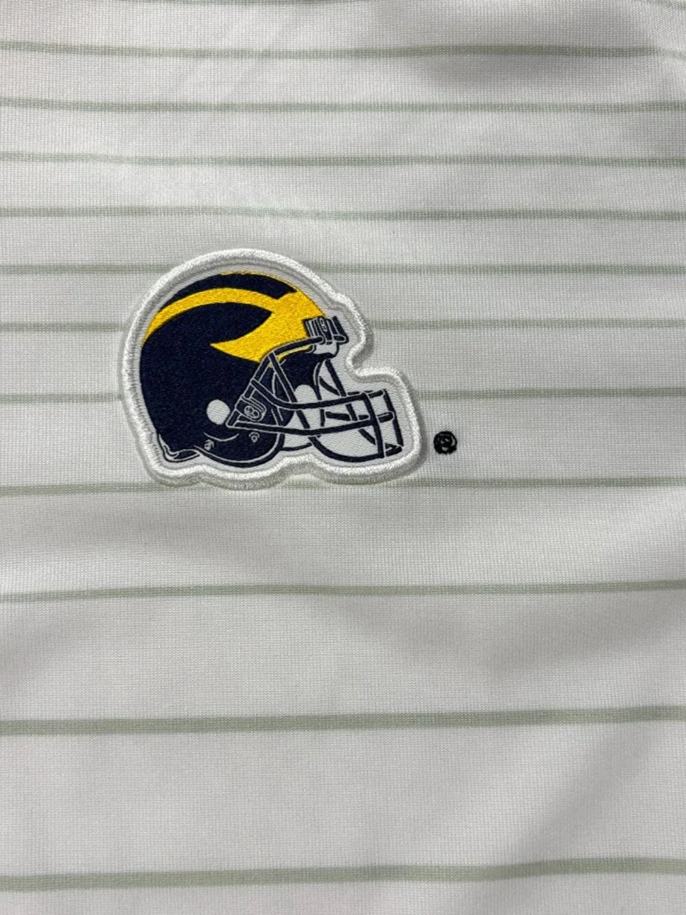 University Michigan Jordan Mens Football Helmet Polo White Sz L Nike Stripe UM